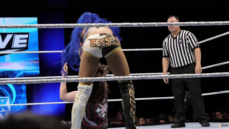 4K 世界摔角娱乐WWE 摔跤手对决 60帧率视频Sasha Banks PK Nikki Cross（4kmee.com专.jpg