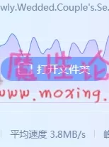 [新婚夫妇性生活][独家韩语中字][1v/1.4G][bt种子]